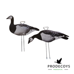 Brandgans silhouette lokkers 12 stuks
