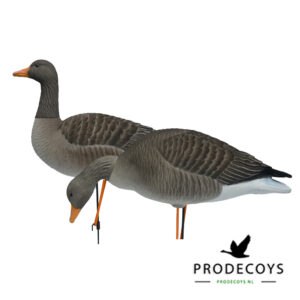 Elite series grauwe gans lokkers geflockt 6 stuks full body