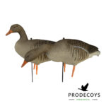 Grauwe gans lokkers 12 stuks full body 2.0