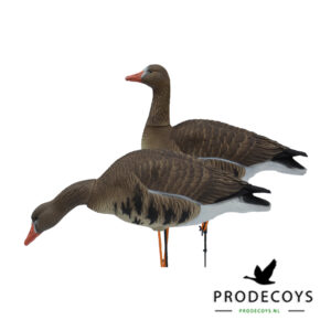 Elite series kolgans lokkers 6 stuks full body