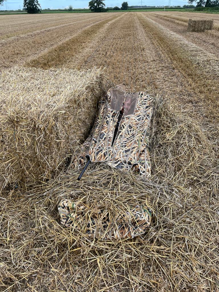 layout-blind-2.jpg