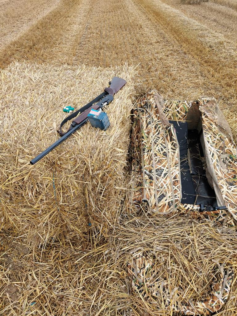 layout-blind-3.jpg